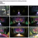 【HDTV】美輪明宏 - 花~すべての人の心に花を~ (SONGS, 2008.10.22) (SONGS - 夏うたdiary, 2015.08.15)