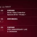 【HDTV-FULL】安室奈美恵 Music Video Collection (20180812 WOWOWライブ 1080i)