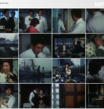 【TV-MP4】[血疑][标清日剧][国语] ( 大映テレビ／TBS 1975 )