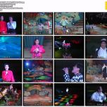 自购资源 91.91大连服装晚会 百度网盘 MPG