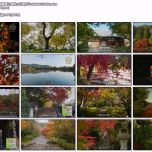 【4K-FULL】京都 嵯峨嵐山 錦秋の紅葉狩り (20240617 NHK BSP4K HEVC 3840x2160).m2ts