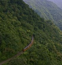 【4K-FULL】神木の森へ 台湾 阿里山森林鉄道 （NHK BSP4K 20250327 3840X2160 HEVC）.ts