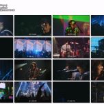 〖Blu-ray〗back number “SCENT OF HUMOR TOUR 2022” (2023.01.17 Blu-ray 1080p PCM H264)