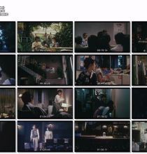 【BDRemux】W的悲剧（Wの悲劇）1984