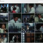 【TV-MP4】[血疑][标清日剧][国语] ( 大映テレビ／TBS 1975 )