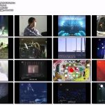 【HDTV-FULL】SSTV ZARD スペシャル (20120110 SSTV 1440x1080 MPG2)