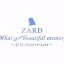 【HDTV】ZARD『What a beautiful memory～25th』WOWOW_2016-07-17-2100-2240
