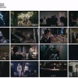 【BDRemux】W的悲剧（Wの悲劇）1984