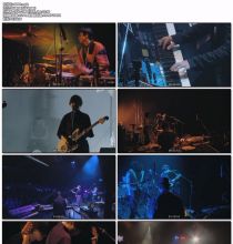 【Blu-ray】FLOWER FLOWER(YUI) - インコのhave a nice day ツアー 2018.05.09 Zepp Tokyo 2018
