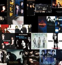 【HDTV-FULL】WANDS 全期 Live & Music Video History(20251007 WOWOWライブ 1080i MPEG-2)[200积分可见]