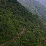 【4K-FULL】神木の森へ 台湾 阿里山森林鉄道 （NHK BSP4K 20250327 3840X2160 HEVC）.ts