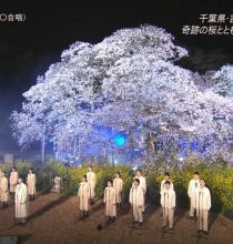 【HDTV】森山直太朗 - さくら(二O二O合唱)(20210329 TBS CDTVライブ!ライブ! 春の４時間スペシャル 1440x1080 MPEG2).ts