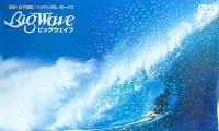 【DVD】山下達郎 - Big Wave (20050720 MPG2)【150积分可见】