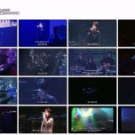 【Blu-ray 】ZARD LIVE 2004“What a beautiful moment”[30th Anniversary Year Special Edition](2020.10.07 Blu-ray 1080p PCM H264)