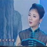 自购资源 1996文化部晚会录像 百度网盘