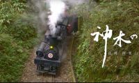 ＢＳ８Ｋ [8K]神木の森へ　台湾　阿里山森林鉄道[22.2][5.1][字][HDR] 自制中字