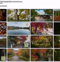 【4K-FULL】京都 嵯峨嵐山 錦秋の紅葉狩り (20240617 NHK BSP4K HEVC 3840x2160).m2ts