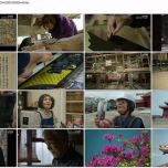 【8K-FULL】よみがえる首里城～琉球王国の色に挑む～ (20260329 NHK BS8K 4320p HEVC)