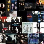 【HDTV-FULL】WANDS 全期 Live & Music Video History(20251007 WOWOWライブ 1080i MPEG-2)[200积分可见]