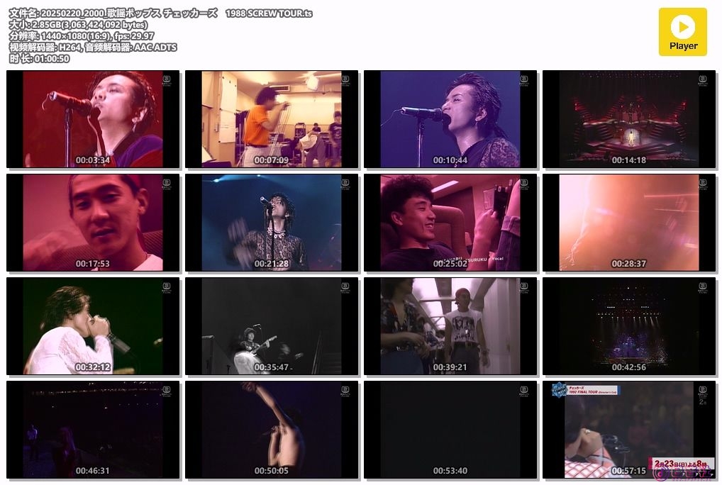 20250220_2000_歌謡ポップス チェッカーズ　1988 SCREW TOUR.ts.jpg
