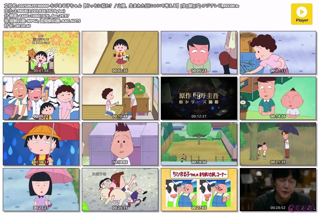 20250629180000-ちびまる子ちゃん【どっちに似た？／山根、生まれた日について考える.jpg