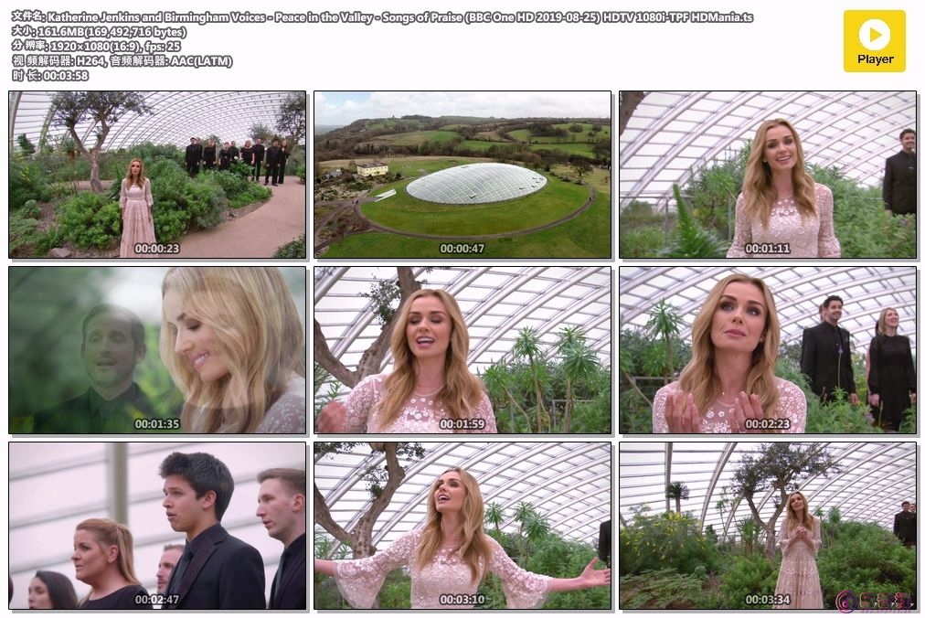 Katherine Jenkins and Birmingham Voices - Peace in the Valley - Songs of Praise .jpg