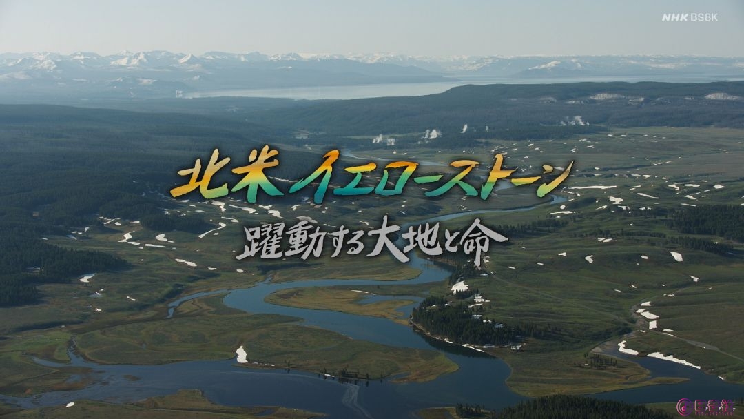 屏幕截图 2026-01-24 095210.jpg