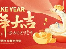 2025年新春红包