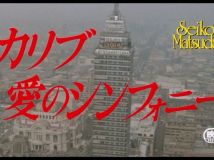 【HDTV-FULL】カリブ・愛のシンフォニー (20250929 ＷＯＷＯＷシネマ 1920x1080 MPG2)【300积分可见】