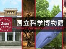 【8K-FULL】究極ガイド　２時間でまわる国立科学博物館[5.1][字][HDR] 自制中字（NHK BS8K HEVC）.ts